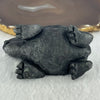 Rare Natural Tibetan Meteorite Tektite Dragon Turtle Display 432.8g by 88.8 by 51.5 by 55.2mm