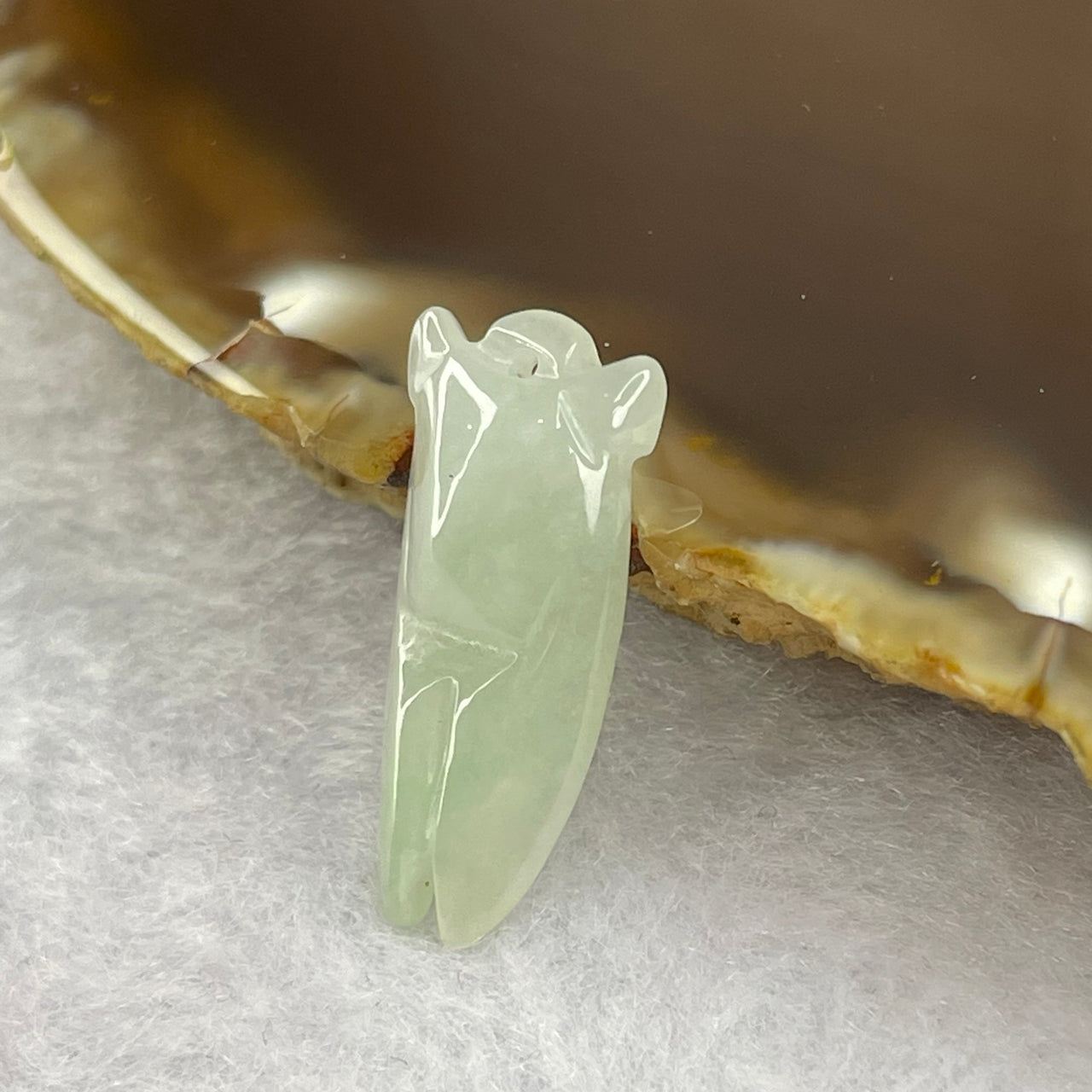 Type A Light Green Jadeite Cicada 23.1 by 11.0 by 4.9mm 1.76g - Huangs Jadeite and Jewelry Pte Ltd