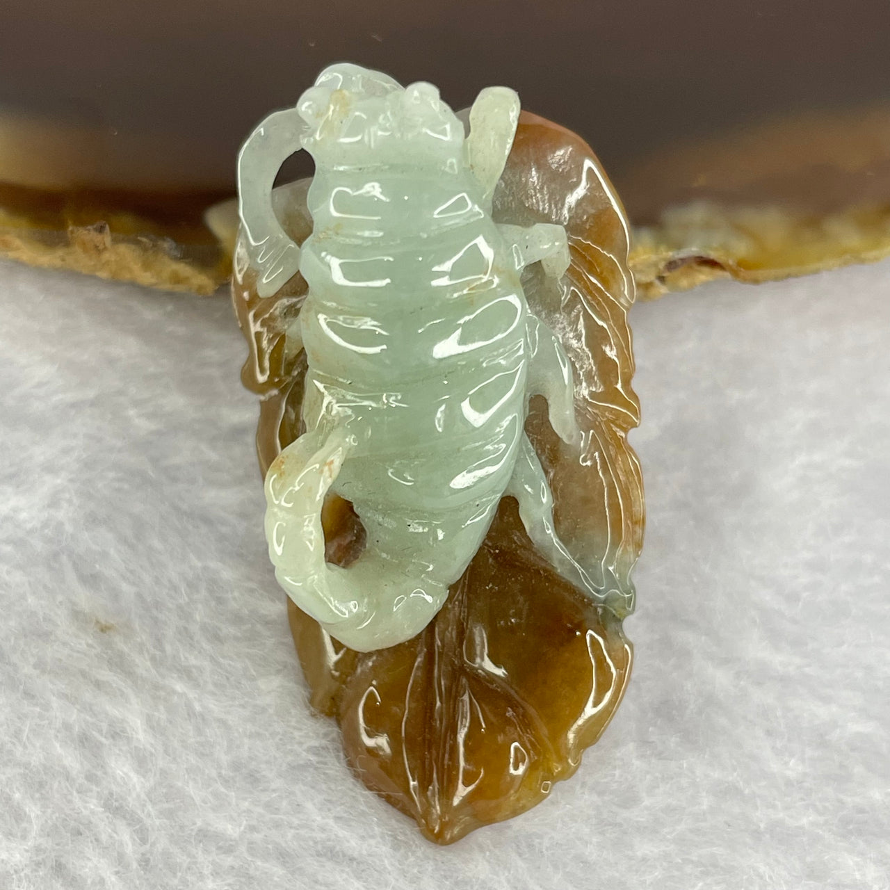 Type A Brown with Green Jadeite Scorpion on Leaf 13.93g 40.0 by 22.7 by 15.7mm - Huangs Jadeite and Jewelry Pte Ltd