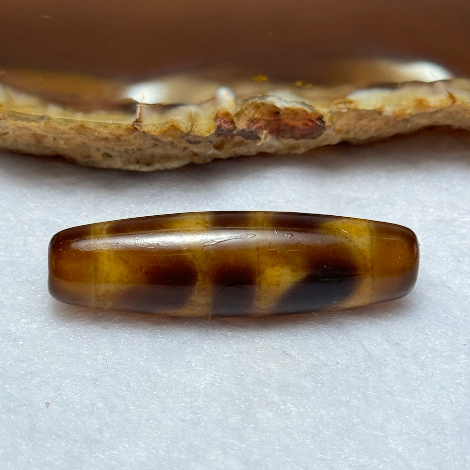 Natural Powerful Tibetan Old Oily Agate Double Tiger Tooth Daluo Dzi Bead Heavenly Master (Tian Zhu) 虎呀天诛 7.30g 39.2 by 11.3mm - Huangs Jadeite and Jewelry Pte Ltd