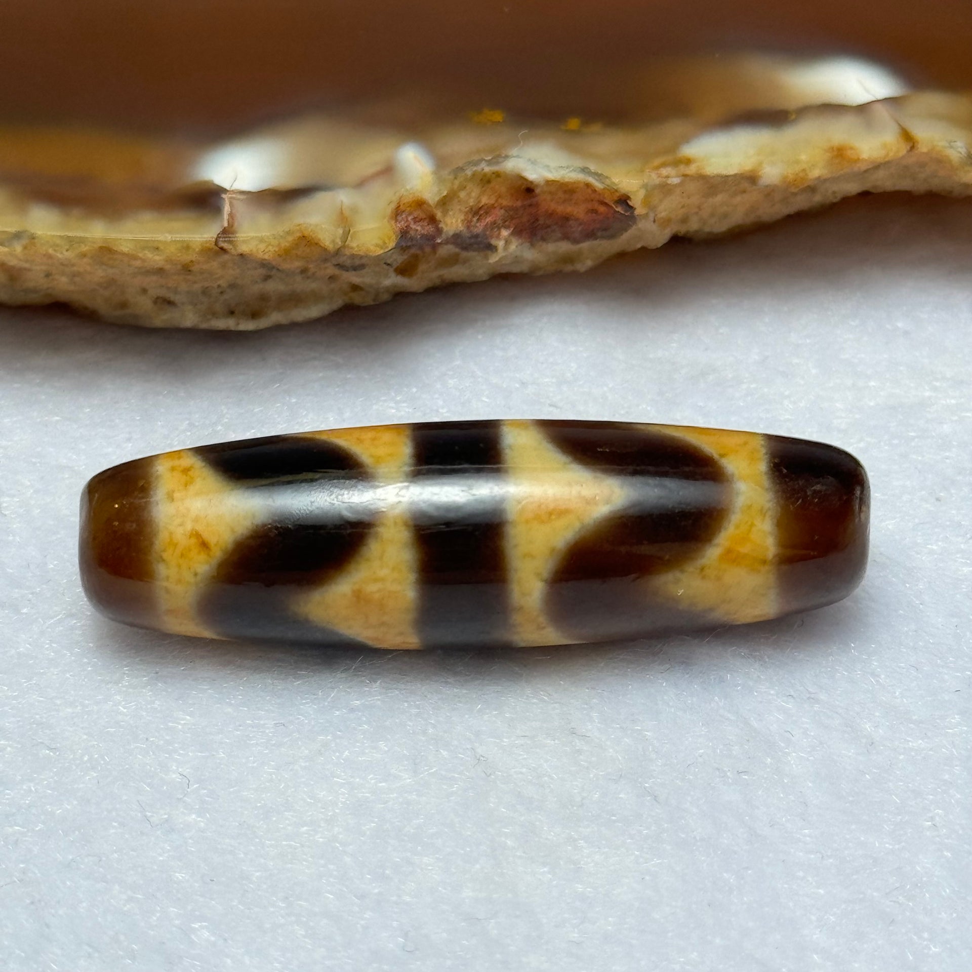 Natural Powerful Tibetan Old Oily Agate Double Tiger Tooth Daluo Dzi Bead Heavenly Master (Tian Zhu) 虎呀天诛 7.35g 38.5 by 11.2mm - Huangs Jadeite and Jewelry Pte Ltd