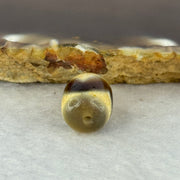 Natural Powerful Tibetan Old Oily Agate Tiger Tooth Daluo Dzi Bead Heavenly Master (Tian Zhu) 虎呀天诛 2.40g 14.0 by 10.5mm - Huangs Jadeite and Jewelry Pte Ltd