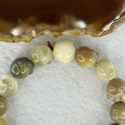 Natural Mixed Color Bodhi Beads in Paw Bracelet 16.93g 16cm 12.1mm 16 Beads - Huangs Jadeite and Jewelry Pte Ltd