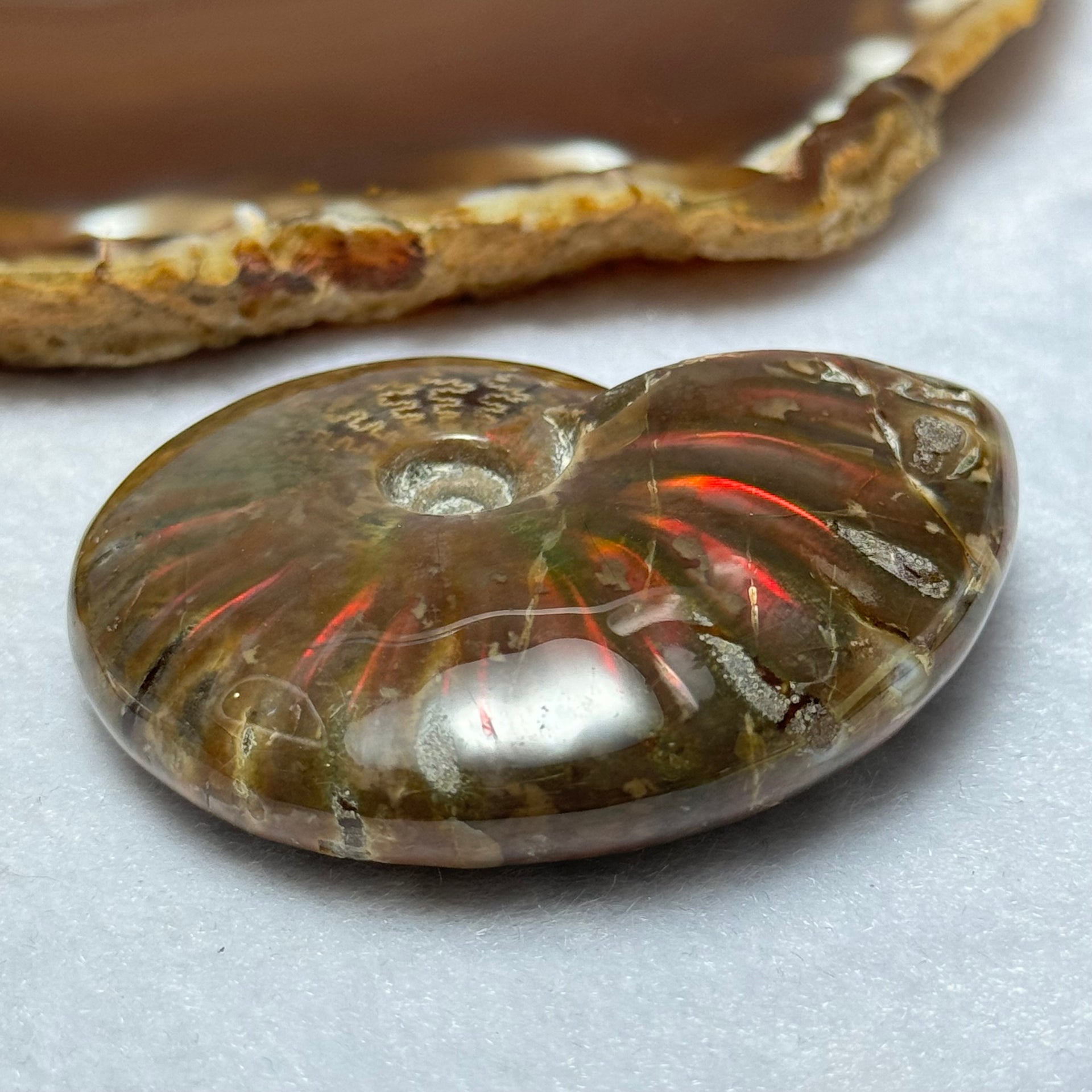 Natural Ammolite Fossil Display 51.53g 56.9 by 45.3 by 16.7mm - Huangs Jadeite and Jewelry Pte Ltd