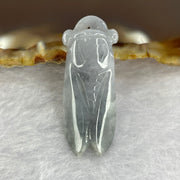 Type A Wuji Grey Jadeite Cicada 4.15g 13.1 by 33.2 by 5.8mm - Huangs Jadeite and Jewelry Pte Ltd