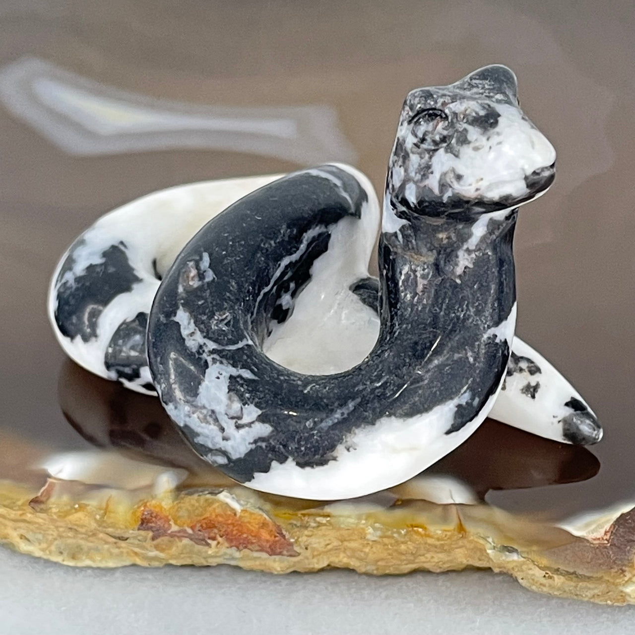 Natural Zebra Marble Snake Mini Display 35.93g 50.0 by 34.6 by 33.9mm