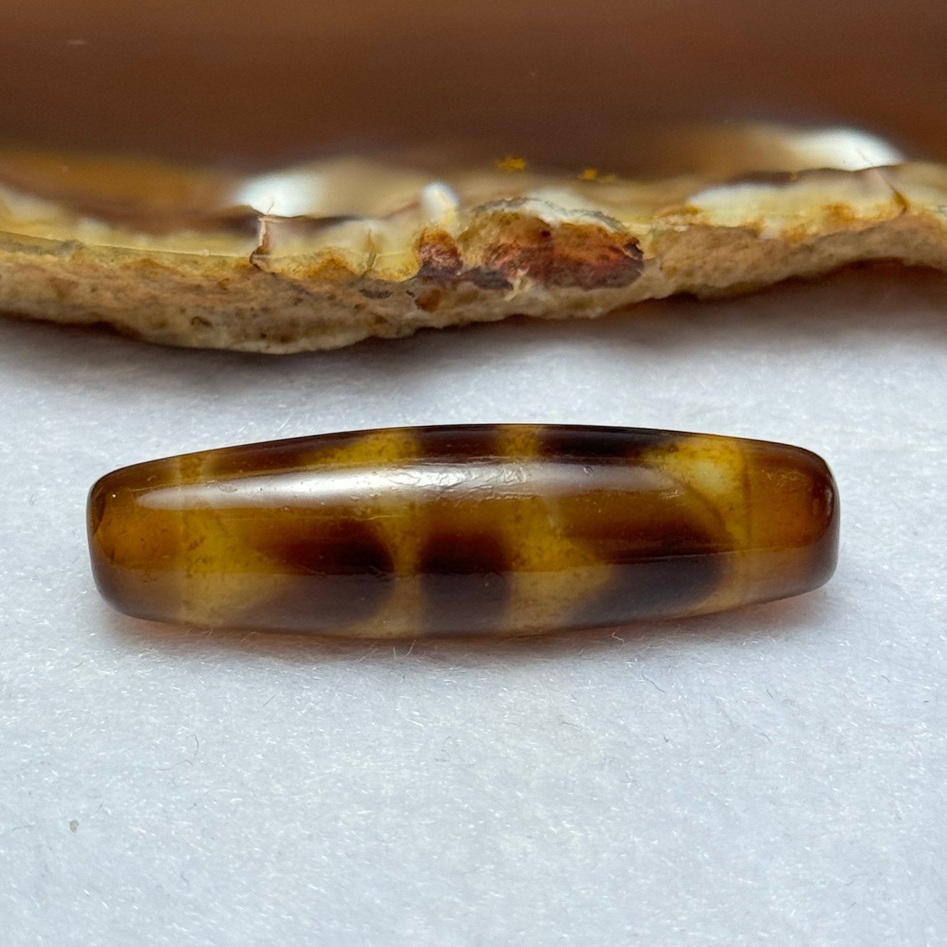 Natural Powerful Tibetan Old Oily Agate Double Tiger Tooth Daluo Dzi Bead Heavenly Master (Tian Zhu) 虎呀天诛 7.30g 39.2 by 11.3mm - Huangs Jadeite and Jewelry Pte Ltd