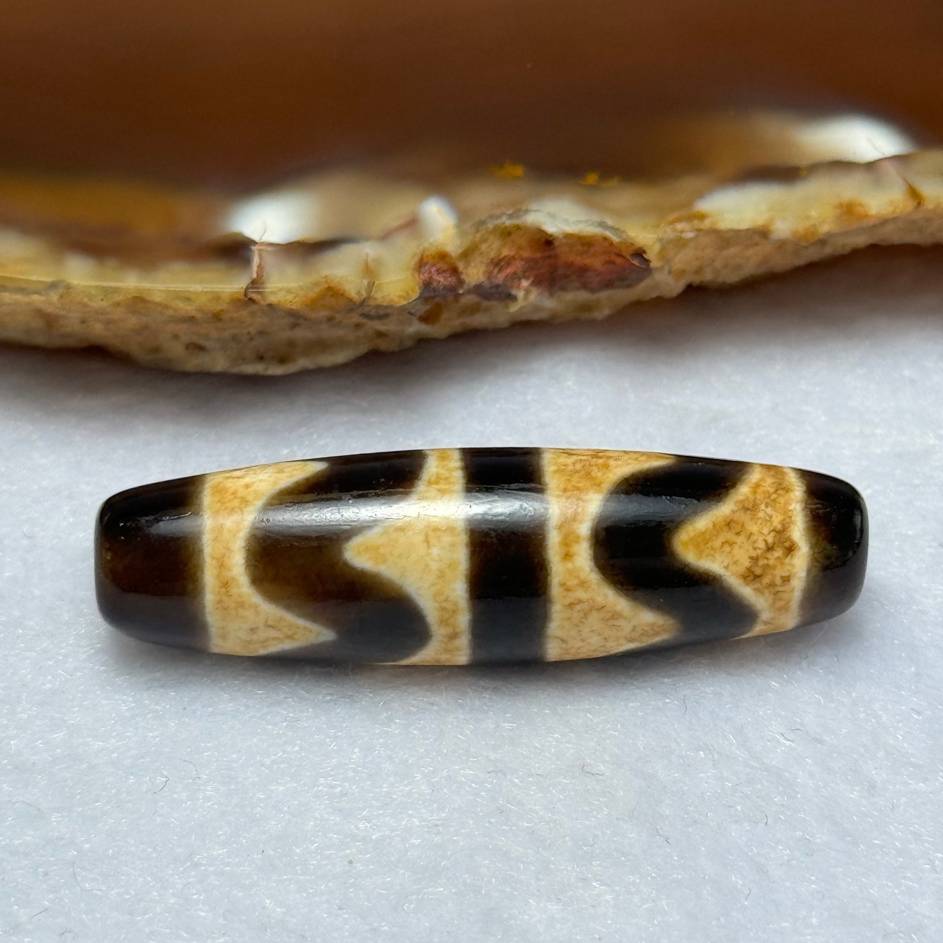 Natural Powerful Tibetan Old Oily Agate Double Tiger Tooth Daluo Dzi Bead Heavenly Master (Tian Zhu) 虎呀天诛 7.06g 39.4 by 11.1mm - Huangs Jadeite and Jewelry Pte Ltd