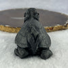 Rare Natural Tibetan Meteorite Tektite Dragon Turtle Display 432.8g by 88.8 by 51.5 by 55.2mm