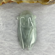 Type A Green Wuji Grey Jadeite Cicada 5.42g 16.5 by 32.6 by 6.9mm - Huangs Jadeite and Jewelry Pte Ltd