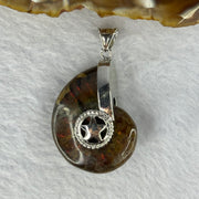 Natural Ammolite Fossil In Sliver Pendent/Charm 14.89g 31.7 by 26.4 by 9.8mm - Huangs Jadeite and Jewelry Pte Ltd