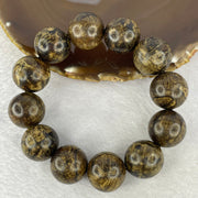 Natural Wild Cambodian Agarwood Beads Bracelet 天然野生柬埔寨沉香珠手链 55.0g 20cm 20.6 mm 12 Beads - Huangs Jadeite and Jewelry Pte Ltd