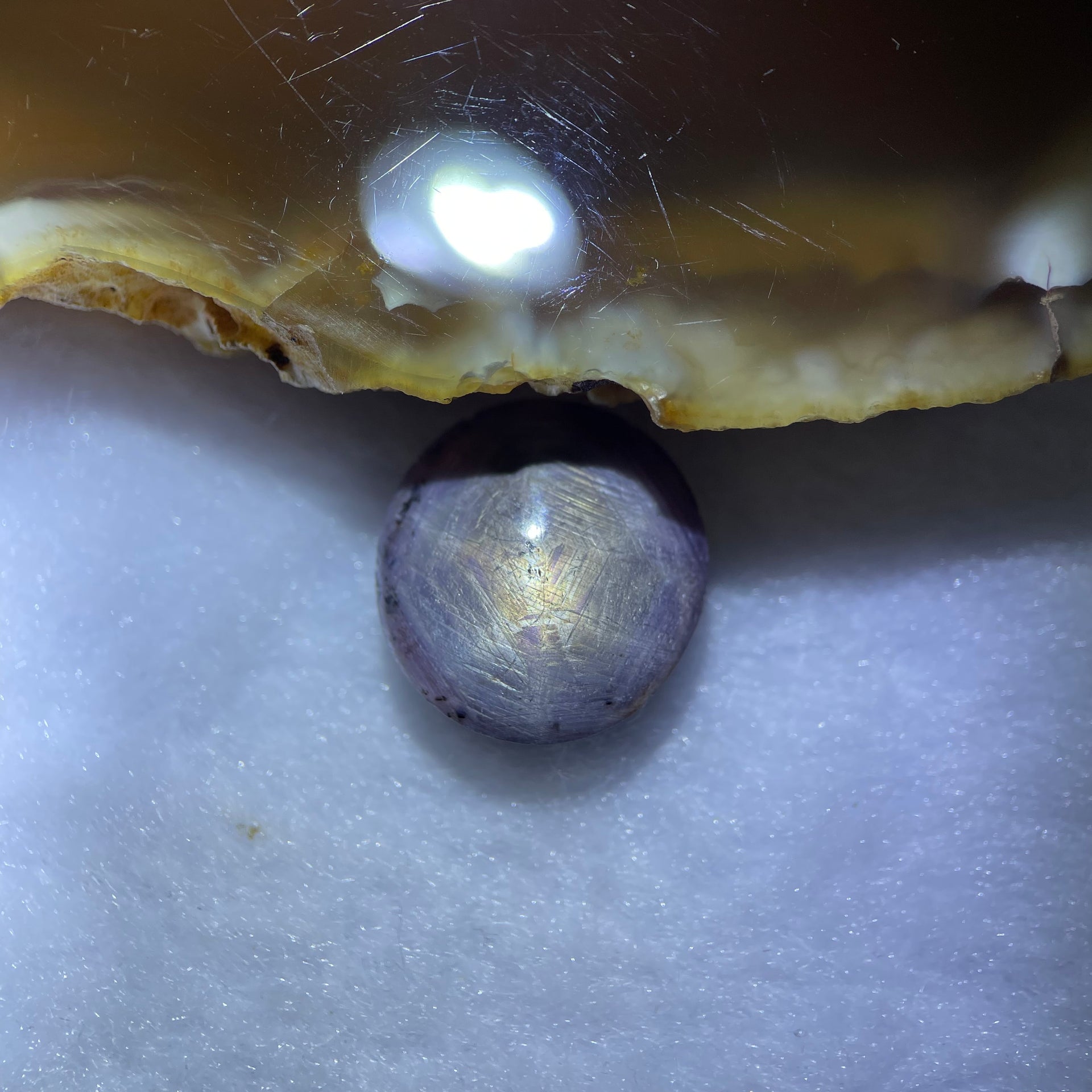 Natural Purple Blue Star Sapphire 16.65 Ct 15.4 by 14.4 by 6.7mm - Huangs Jadeite and Jewelry Pte Ltd