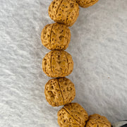 Natural Bodhi Rudraksha Seed Mala 金风 Beads Bracelet with 3 Eyes Dzi Bead Tian Zhu 天珠 21.00g 13.5mm 17 Beads - Huangs Jadeite and Jewelry Pte Ltd