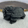 Rare Natural Tibetan Meteorite Tektite Dragon Turtle Display 432.8g by 88.8 by 51.5 by 55.2mm