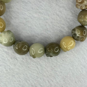 Natural Mixed Color Bodhi Beads in Paw Bracelet 16.93g 16cm 12.1mm 16 Beads - Huangs Jadeite and Jewelry Pte Ltd