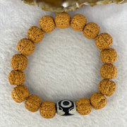 Natural Bodhi Rudraksha Seed Mala 金风 Beads Bracelet with 3 Eyes Dzi Bead Tian Zhu 天珠 21.00g 13.5mm 17 Beads - Huangs Jadeite and Jewelry Pte Ltd