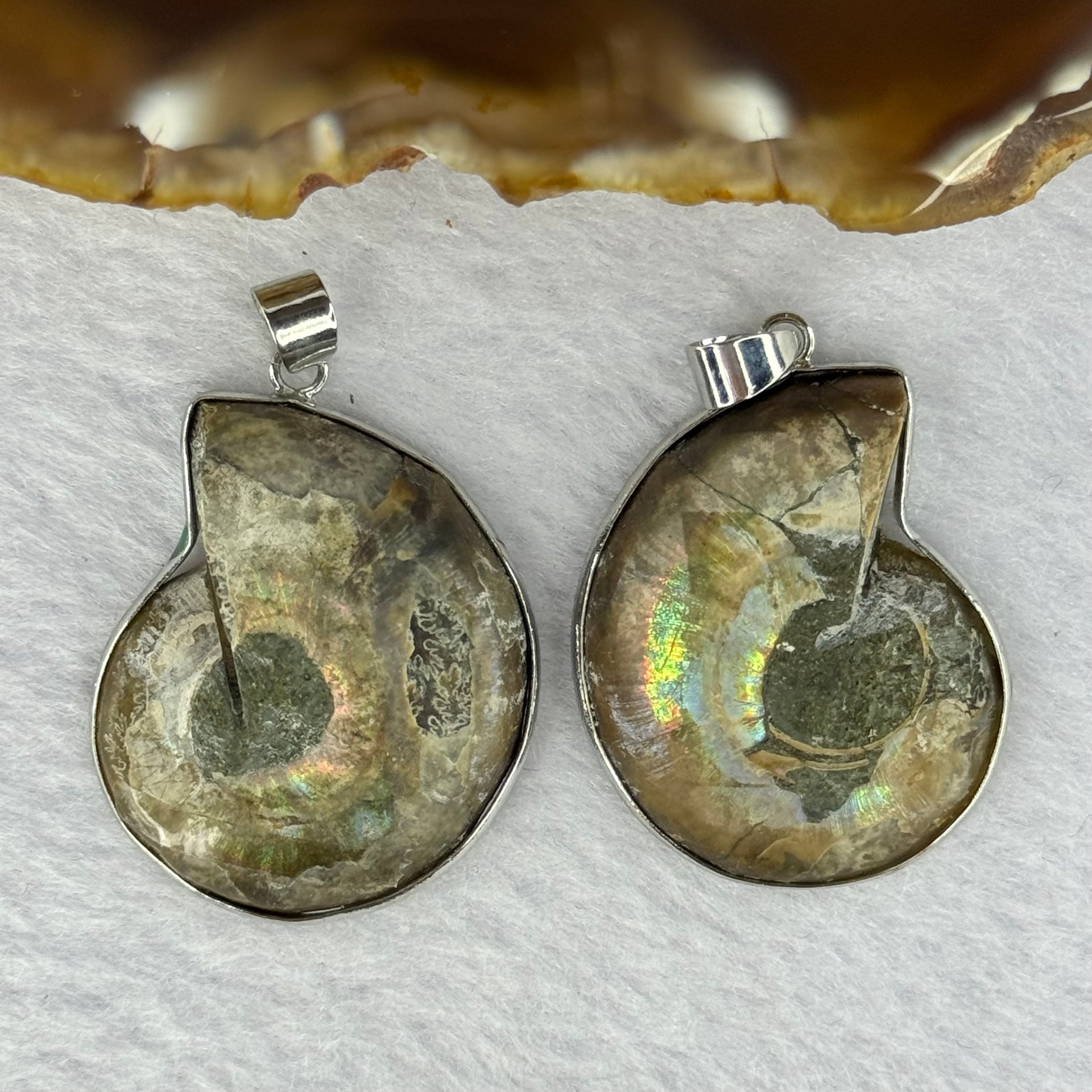 Natural Ammolite Fossil In Sliver Pendent/Charm Pair Total Weight 17.10g Each About 28.9 by 23.7 by 7.1mm - Huangs Jadeite and Jewelry Pte Ltd