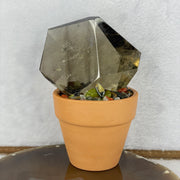 Natural Smoky Quartz in a Pot Display 506.5g 122.3 by 81.5 by 71.0mm - Huangs Jadeite and Jewelry Pte Ltd