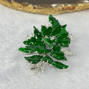 Very Very High Quality Translucent Natural Green Jadeite (TYPE A) Brooch Approx. 11.27 by 7.75 to 21.87 by 15.25mm Total Weight 22.79g including Natural Diamonds and 14K White Gold Setting with NGI Cert No.82835783 - Huangs Jadeite and Jewelry Pte Ltd