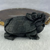 Rare Natural Tibetan Meteorite Tektite Dragon Turtle Display 432.8g by 88.8 by 51.5 by 55.2mm