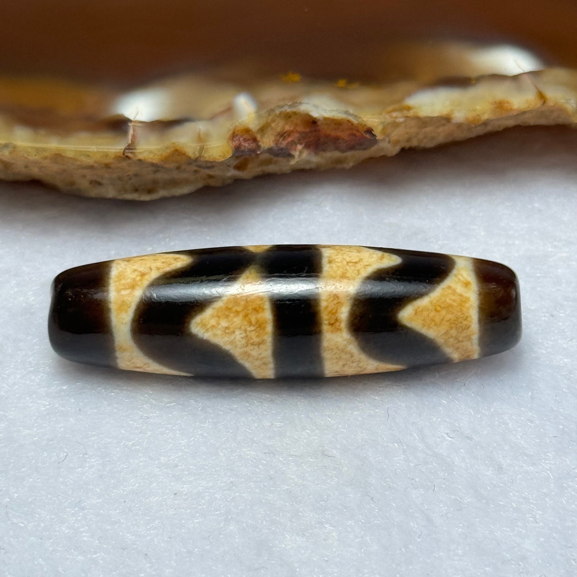 Natural Powerful Tibetan Old Oily Agate Double Tiger Tooth Daluo Dzi Bead Heavenly Master (Tian Zhu) 虎呀天诛 7.06g 39.4 by 11.1mm - Huangs Jadeite and Jewelry Pte Ltd