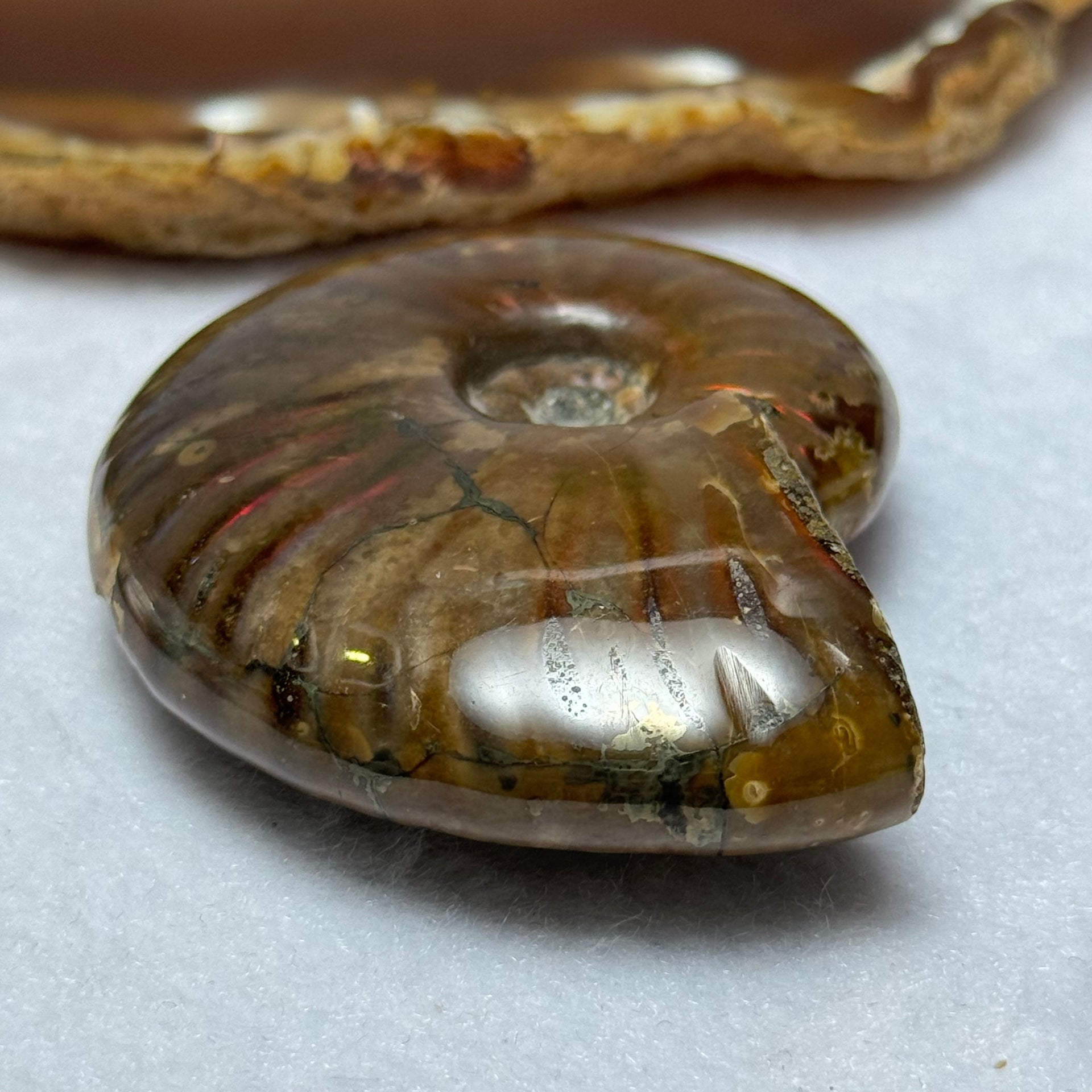 Natural Ammolite Fossil Display 71.47g 61.6 by 48.8 by 18.8mm - Huangs Jadeite and Jewelry Pte Ltd