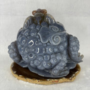 Natural Blue Purple Brown and White Agate 3 Legged Toad on Prosperity Ruyi Display 2045.0g 160.0 by 111.6g by 126.9g - Huangs Jadeite and Jewelry Pte Ltd