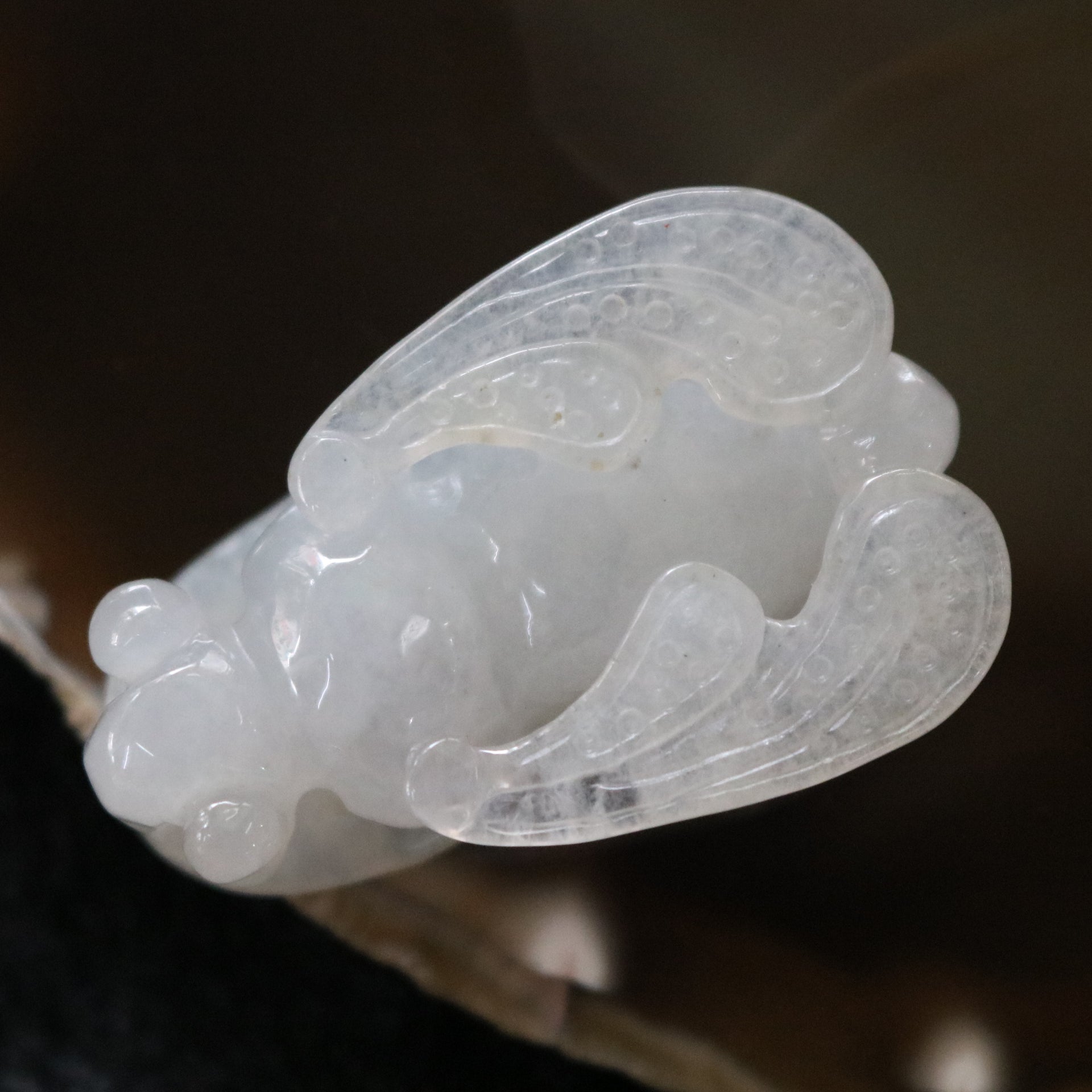 Semi Icy Type A Burmese Jade Jadeite Bee - 21.65g L43.2 W27.7 D4.5mm - Huangs Jadeite and Jewelry Pte Ltd