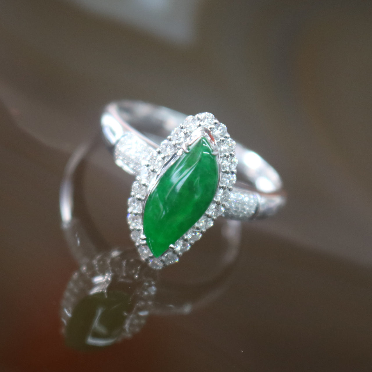 Type A Green Burmese jadeite ring in 18k white gold & natural diamonds - Huangs Jadeite and Jewelry Pte Ltd