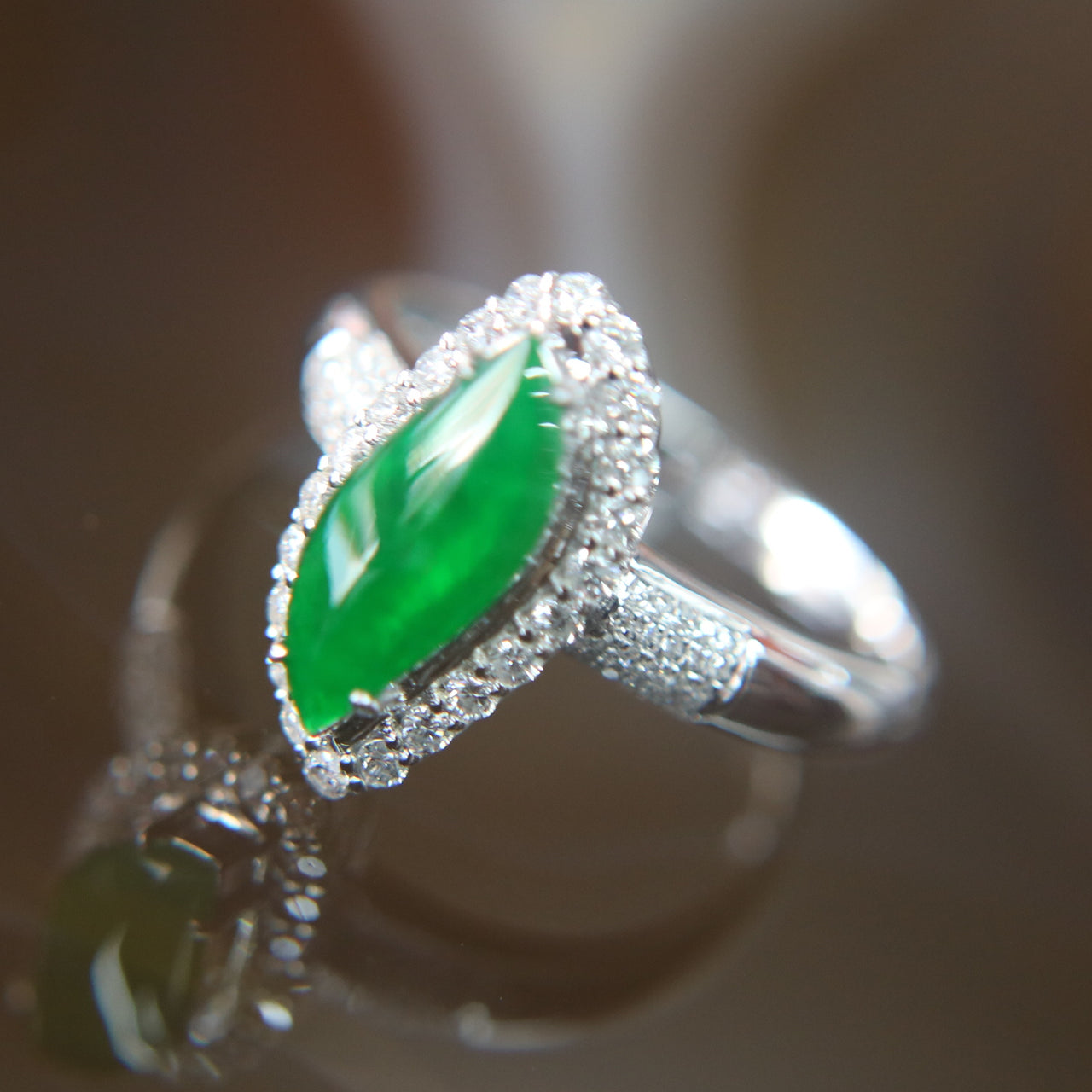 Type A Green Burmese jadeite ring in 18k white gold & natural diamonds - Huangs Jadeite and Jewelry Pte Ltd