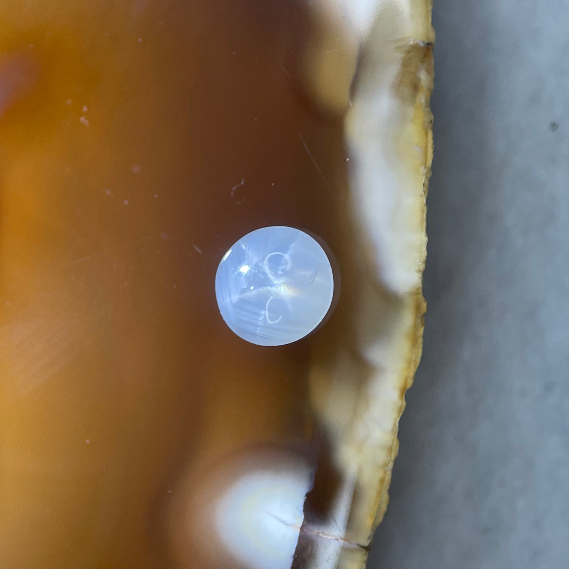 Natural White Star Sapphire 0.90 carats 5.5 by 5.2 by 2.5mm - Huangs Jadeite and Jewelry Pte Ltd