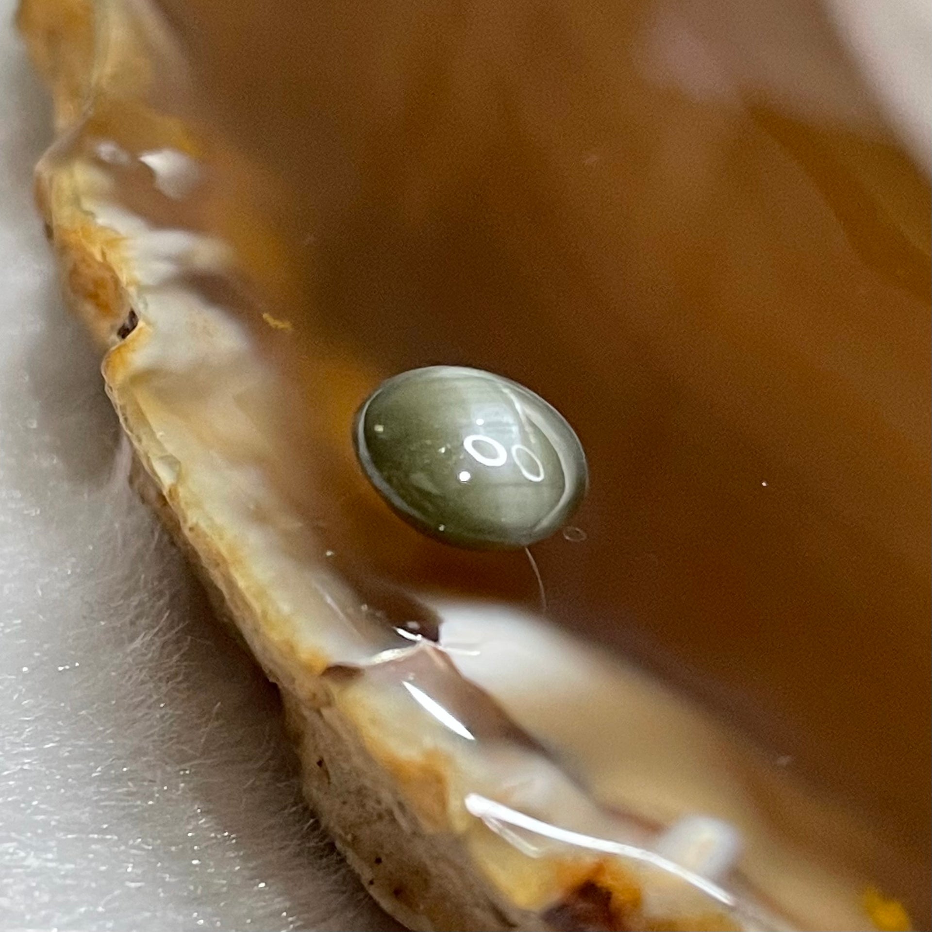 Natural Chrysoberyl Double sided cats eye 2.05 carats 8.1 by 7.1 by 3.9mm - Huangs Jadeite and Jewelry Pte Ltd