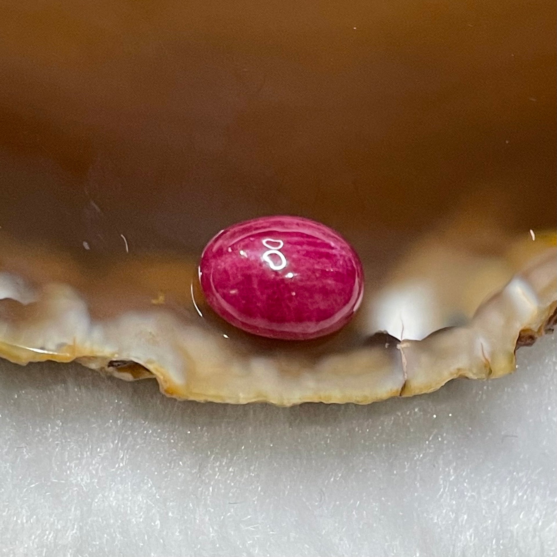 Natural Ruby 5.05 carats 10.9 by 8.3 by 4.8mm - Huangs Jadeite and Jewelry Pte Ltd