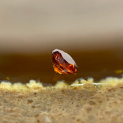 Natural Orange Red Garnet Crystal Stone for Setting - 0.80ct 5.1 by 5.1 by 3.1mm - Huangs Jadeite and Jewelry Pte Ltd