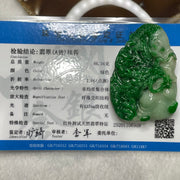 Rare Type A Yang Green Jade Jadeite Dragon 86.34g 65.9 by 44.7 by 18.4mm - Huangs Jadeite and Jewelry Pte Ltd